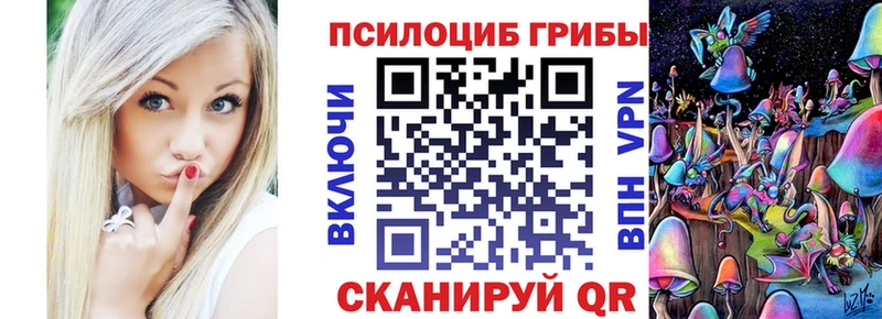 наркота  Саяногорск  Псилоцибиновые грибы прущие грибы 